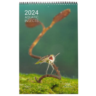 2024 Calendar - Aquatic insects