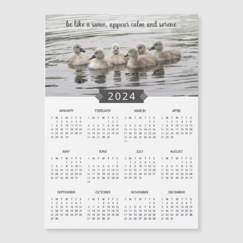2024 Calendar Baby Swans Photograph Magnet