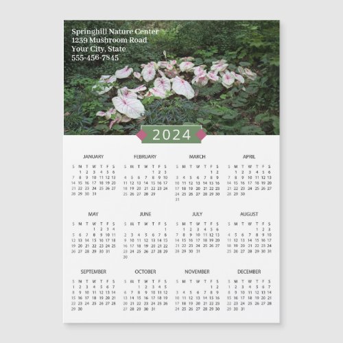 2024 Calendar Calendium Photograph Promo Magnet