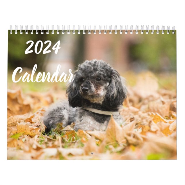 2024 Calendar Cute Poodle Dog Images (Cover)