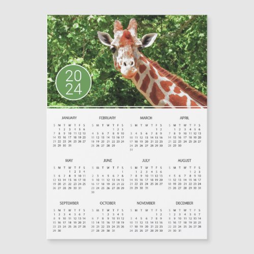 2024 Calendar Giraffe Photograph Magnet