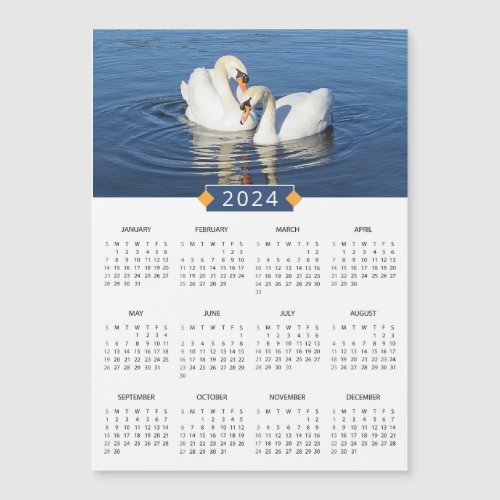 2024 Calendar Love Swans Photo Magnet