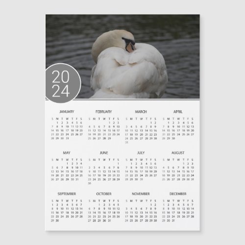 2024 Calendar Mute Swan Photograph Magnet