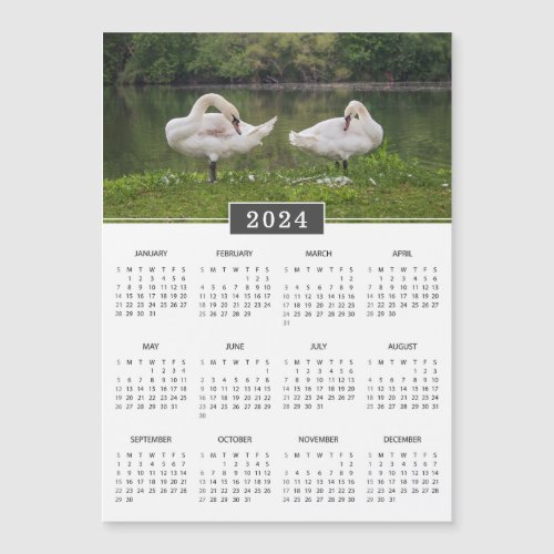 2024 Calendar Mute Swans Magnet