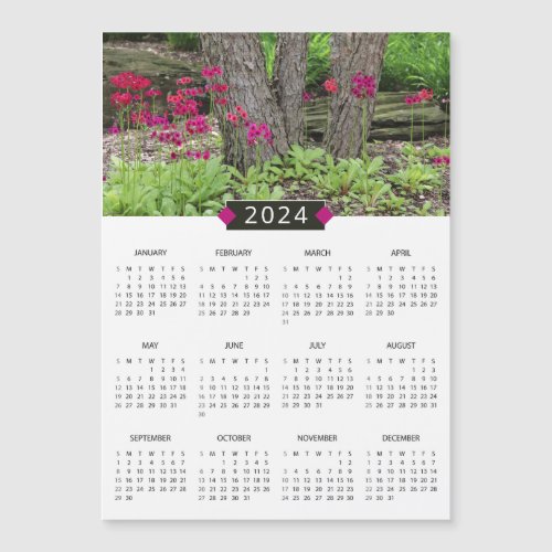 2024 Calendar Pink Primrose Photo Magnet