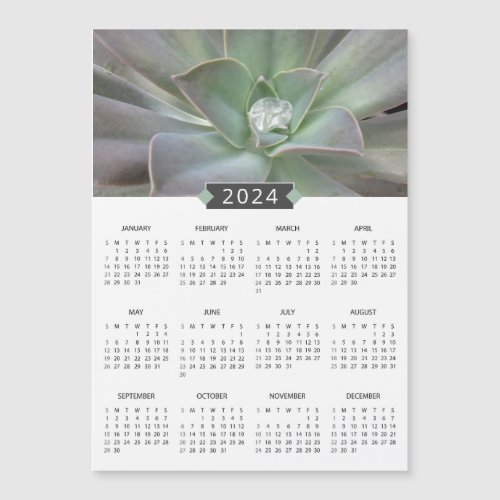 2024 Calendar Succulent Photograph Magnet