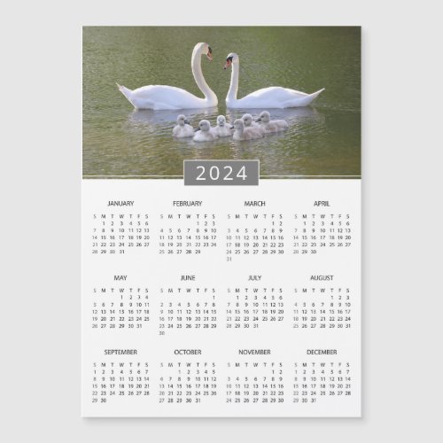 2024 Calendar Swan  Cygnets Magnet