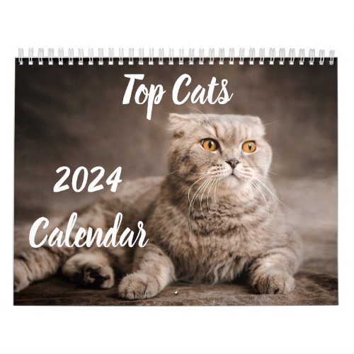 2024 Calendar Top Cats