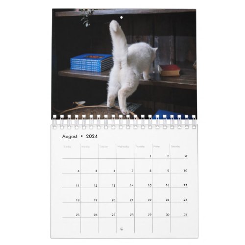 2024 Cat Butt Calendar