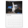 2024 Cat Butt Calendar