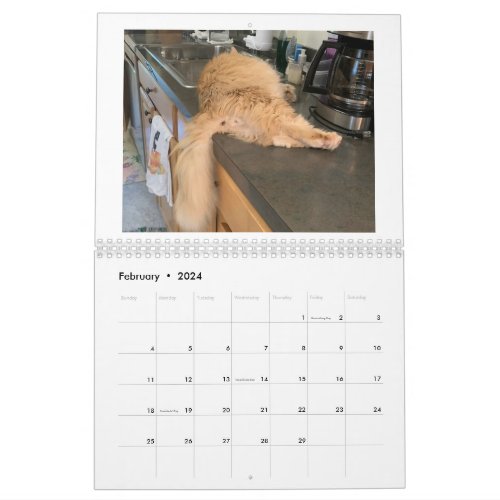 2024 Cat Butts Calendar