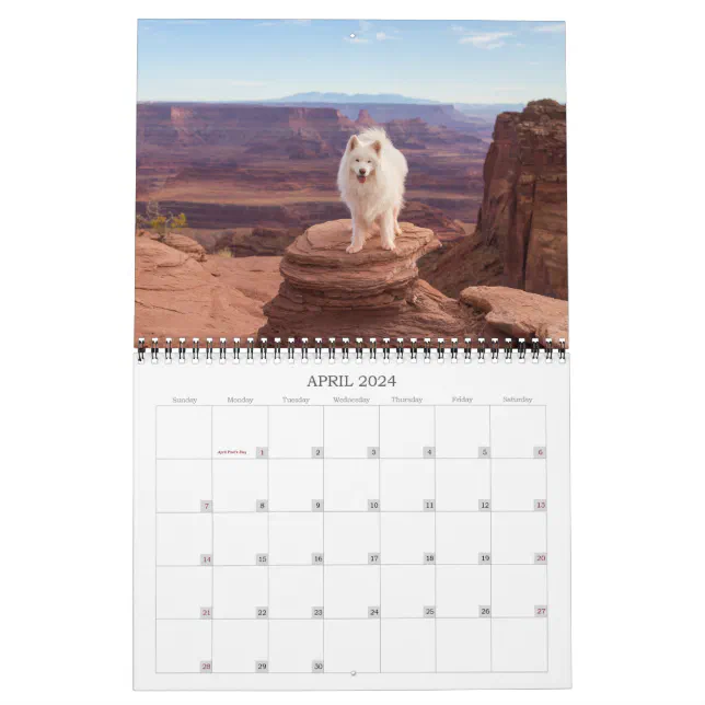 2024 Coconut Rice Bear Calendar Zazzle
