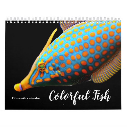 2024 Colorful Fish Calendar
