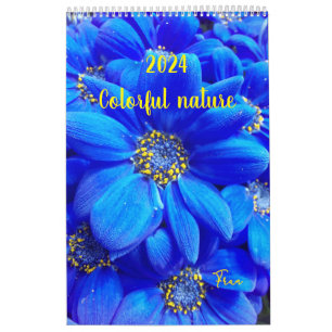 2024 colorful nature calendar