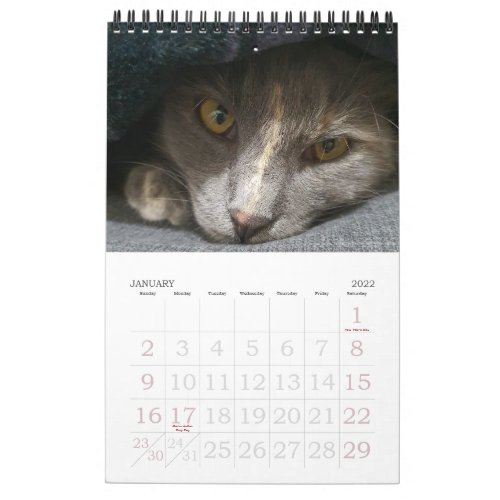 2024 cute grey cat photos collection calendar