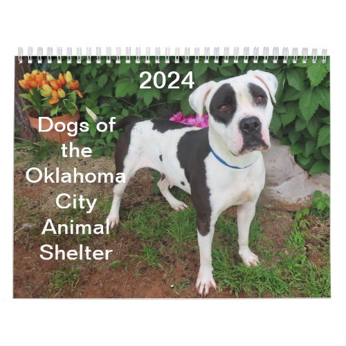 2024 Dogs of the Oklahoma City Animal Shelter Calendar