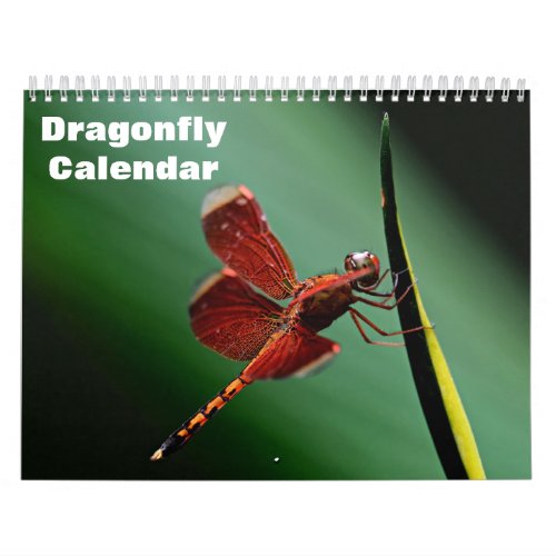 2024 Dragonfly Calendar