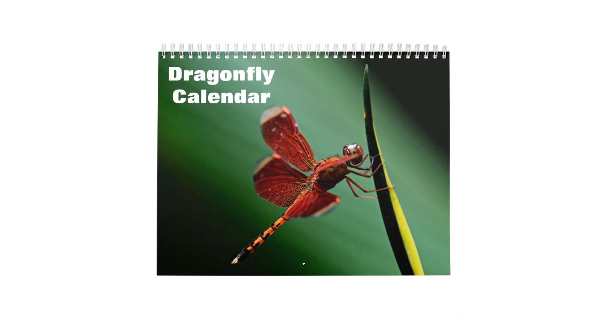 2024 Dragonfly Calendar Zazzle