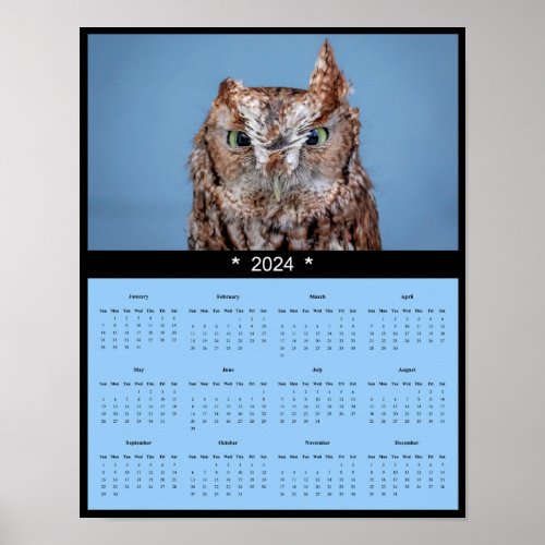 2024 Eastern Screech Owl Wall Calendar Poster