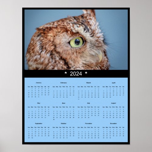 2024 Eastern Screech Owl Wall Calendar Poster