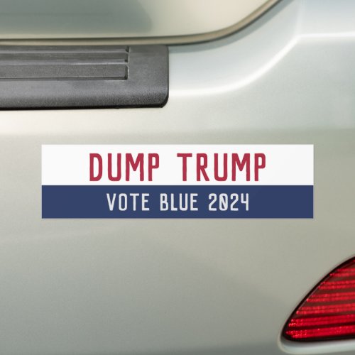 2024 Election Anti Trump Pro Democracy  Bumper Sticker