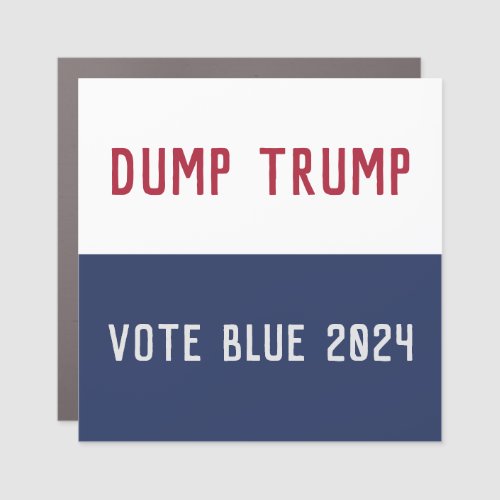 2024 Election Anti Trump Pro Democracy  Car Magnet