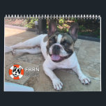 2024 FBRN French Bulldog Calendar<br><div class="desc">Enjoy twelve months of French Bulldogs with our very special calendar featuring foster Frenchies and grads from FBRN! Learn more about French Bulldog Rescue Network in need at frenchbulldogrescue.org.</div>