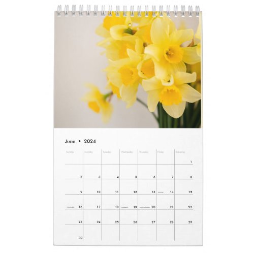 2024 Floral Delights Calendar _ Colorful Flowers 