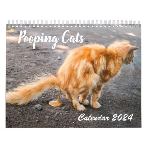 2024 Funny Cats Pooping Calendar Personalized