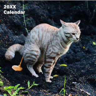 2024 Funny Cats Pooping Calendar Personalized 