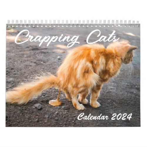 2024 Funny crapping cats Calendar Personalized