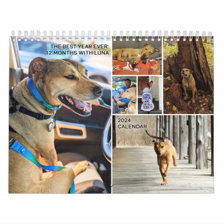 2024 Funny Cute Dog Photo Calendar