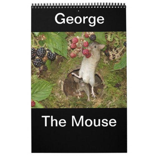 2024 george the mouse  calendar