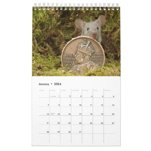 2024 George the mouse in a log pile house  Calendar
