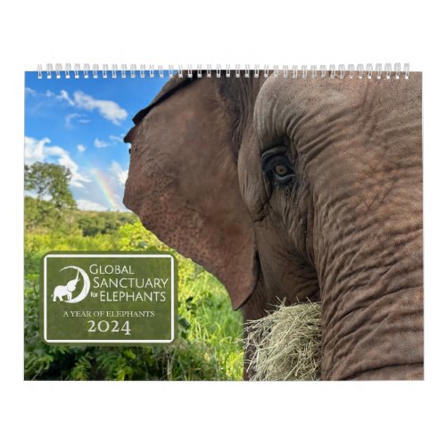 2024 Global Sanctuary For Elephants Wall Calendar