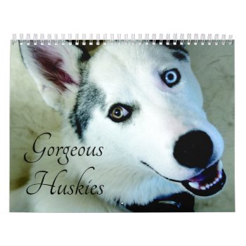 2024 Gorgeous Siberian Husky Dog Calendar by MiscellanyShop at Zazzle