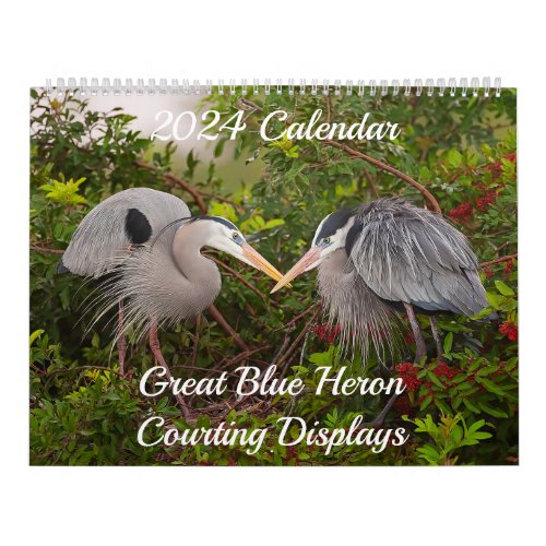 2024 Great Blue Heron Courting Displays Calendar