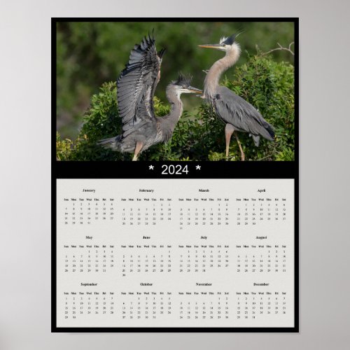2024 Great Blue Heron Wall Calendar Poster