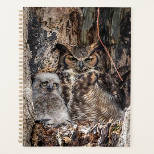 2024 Great Horned Owl Planner