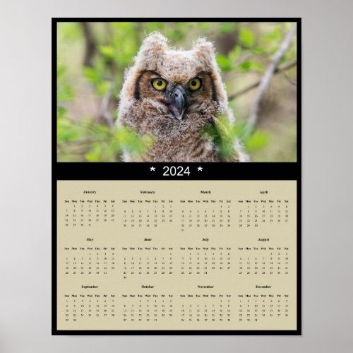 2024 Great Horned Owl Wall Calendar Poster