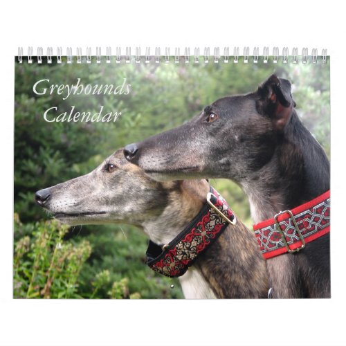 2024 Greyhound calendar