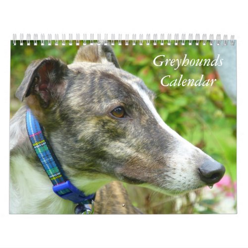 2024 Greyhounds calendar