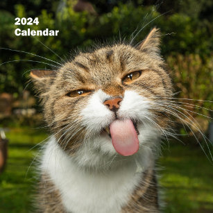 2024 Hilarious Animals Personalized Calendar