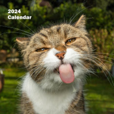 2024 Hilarious Animals Personalized Calendar at Zazzle