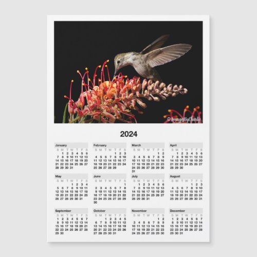 2024 Hummingbird 5x7 Magnetic Mini Calendar