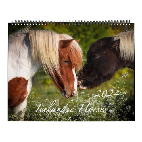 2024 Icelandic Horse Calendar