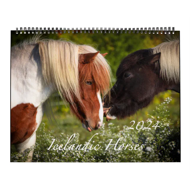 2024 Icelandic Horse Calendar Zazzle