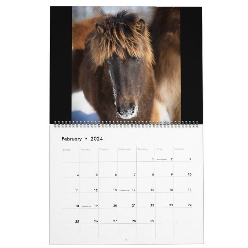 2024 Icelandic Horse Calendar Zazzle