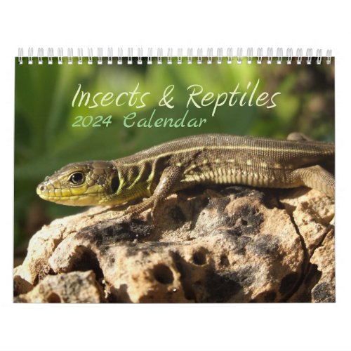 2024 Insects  Reptiles Calendar