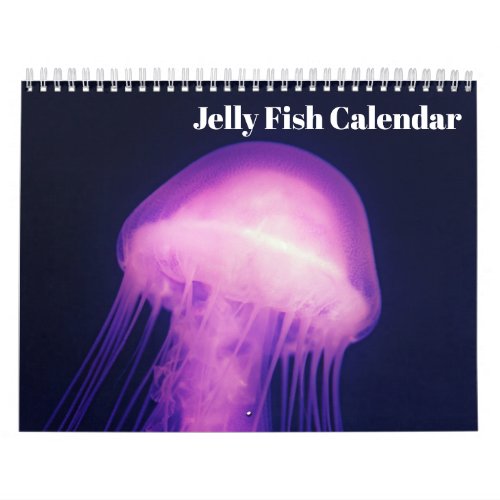 2024 Jellyfish Calendar